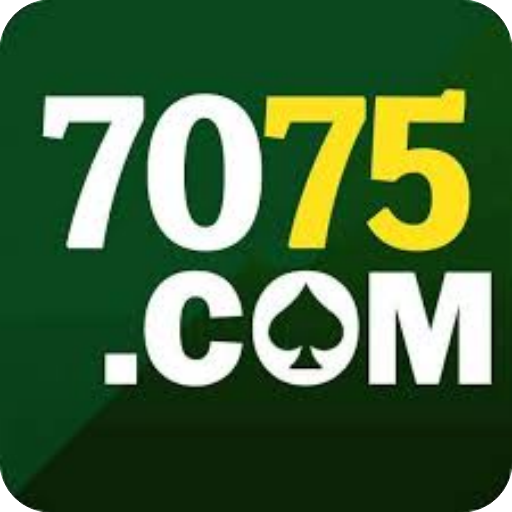 Registro no 7075 com